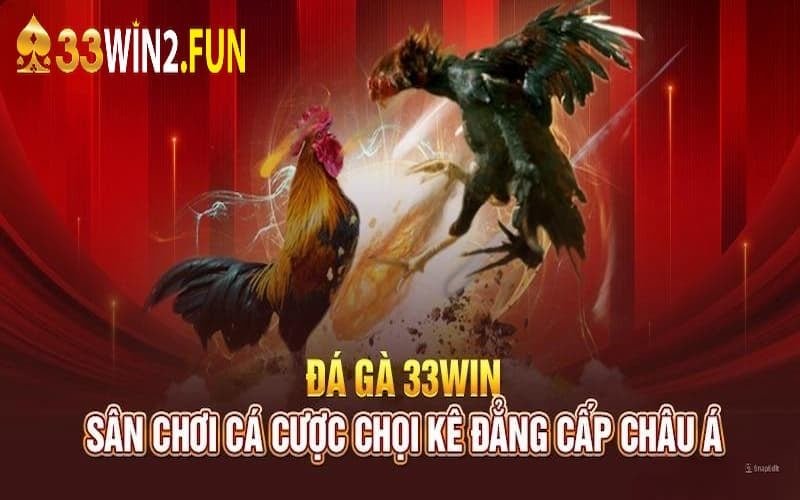 Hình thức đá gà phổ biến tại 33win